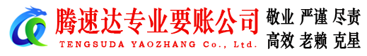 湘桥清债公司